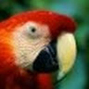 Meet your Posher, Donnie